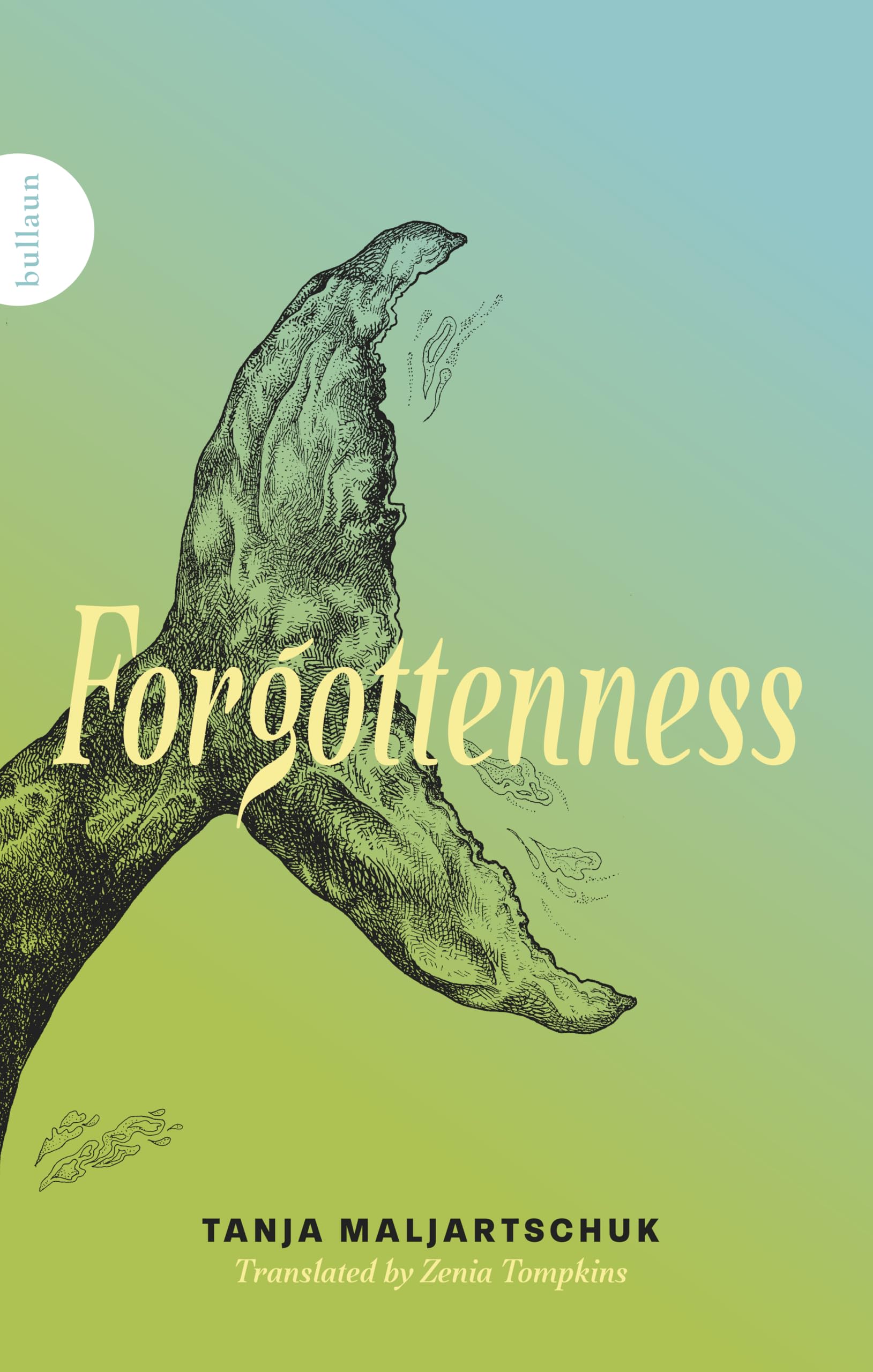 Forgottenness: Amazon.co.uk: Tanja Maljartschuk, Zenia Tompkins